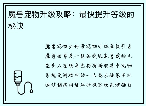 魔兽宠物升级攻略：最快提升等级的秘诀